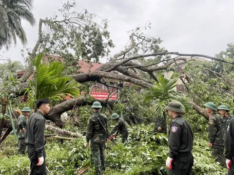 Dọn cây đổ sau bão ở Khu di tích Kim Liên đón người dân dịp Quốc khánh