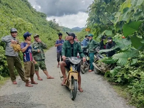 Đi thăm trang trại bò gần đập thủy điện, người đàn ông ở Đà Nẵng mất tích nửa tháng