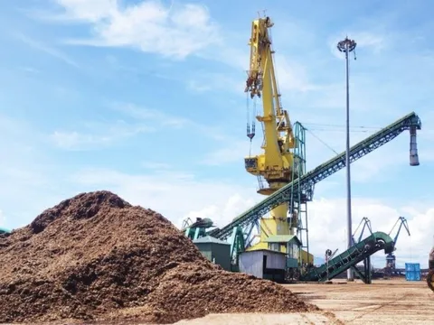 Đề xuất giải pháp nâng cao hiệu quả quản lý hải quan đối với xuất khẩu dăm gỗ