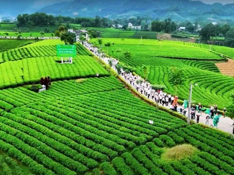 Phát triển kinh tế Thái Nguyên sau sắp xếp tỉnh: Cơ hội và thách thức