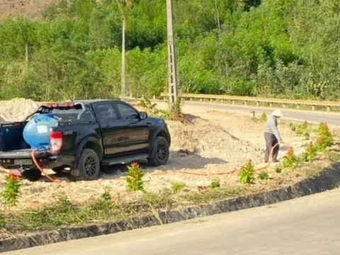 Xúc động chuyện chồng trồng 1 km phượng vĩ, 1.000 cây hoa hồng để tưởng nhớ vợ