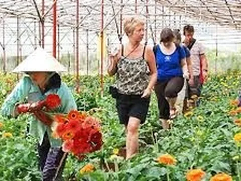 Thực trạng và giải pháp thu hút vốn để phát triển du lịch kết hợp nông nghiệp tại Việt Nam