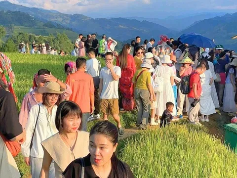 Mù Cang Chải chật kín khách du lịch, nửa đêm có người vẫn vật vã tìm phòng