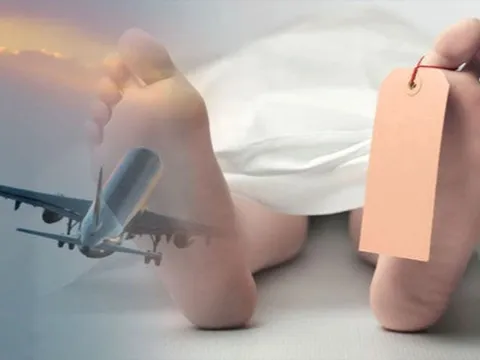 Hành khách đột tử trên máy bay, nguyên nhân cái chết vẫn đang điều tra