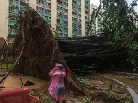 Lý do Hong Kong không thiệt hại nặng trước sức gió 195km/h của bão Ragasa