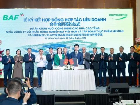 Sắp khởi động dự án 'chung cư 5 tầng nuôi heo' 12.000 tỷ: có AI 'nghe' tiếng ho chẩn bệnh, robot đi tuần 24/7