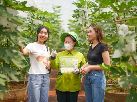 Tác động của sự hài lòng, giá trị cảm nhận, trải nghiệm đến động lực và lòng trung thành của du khách đối với du lịch nông nghiệp xanh tại TP. Hồ Chí Minh