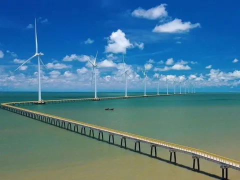 REE và TTVN hợp tác cùng các tập đoàn tỷ đô Nhật Bản khởi công 4 dự án điện gió tại Vĩnh Long với tổng vốn đầu tư hơn 11.000 tỷ đồng