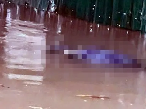 Phát hiện thi thể người đàn ông trong làn nước ngập ở Hà Nội