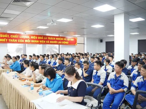 Bảo đảm tiền lương và phúc lợi lao động cho lao động di cư nội địa tại Việt Nam - một số vấn đề và hàm ý chính sách