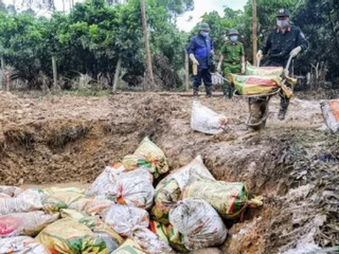 'Ngày tôi trở về, nước lũ vẫn ngang người, gà chết trôi lềnh bềnh khắp vườn'