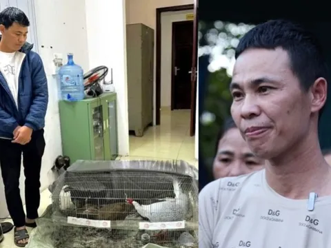 Phúc thẩm vụ "gà lôi trắng": VKS bất ngờ thay đổi kháng nghị, đề nghị miễn trách nhiệm hình sự với bị cáo