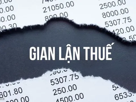 Doanh nhân Hà Thành trốn thuế tiền tỷ bị ‘sờ gáy’