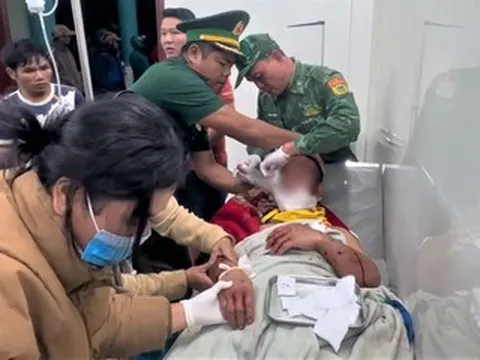 Trưởng thôn ở Đà Nẵng bị gấu rừng tấn công trên đường đi làm về