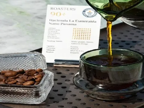 Xác lập kỷ lục ly cà phê đắt nhất thế giới