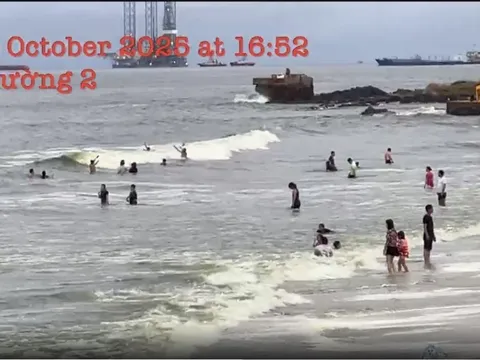 Thông tin lan truyền nước biển Vũng Tàu có màu xanh lá cây: Cơ quan chức năng lên tiếng