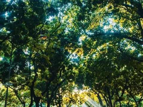 Miền Bắc tăng nhiệt mạnh, miền Trung vẫn mưa như trút