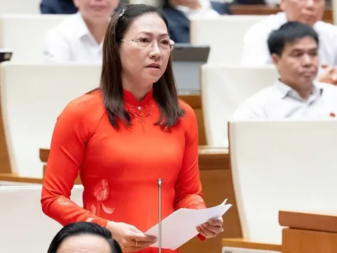 Đại biểu Quốc hội: "Bắt cóc online" là nỗi lo thường trực của nhiều gia đình