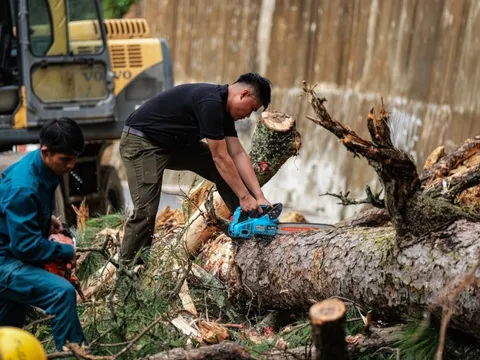 Đá lăn, đất lở, đường nứt, quả đồi nứt toác trên đèo D’Ran dẫn vào Đà Lạt