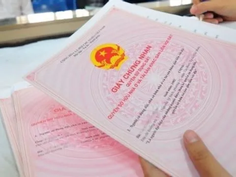 Hiệu ứng "người ngoài cuộc" và lãng phí dũng khí