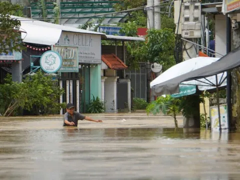 Họp với Thủ tướng Chính phủ, Đà Nẵng nêu con số đáng lo về thiệt hại do mưa lũ