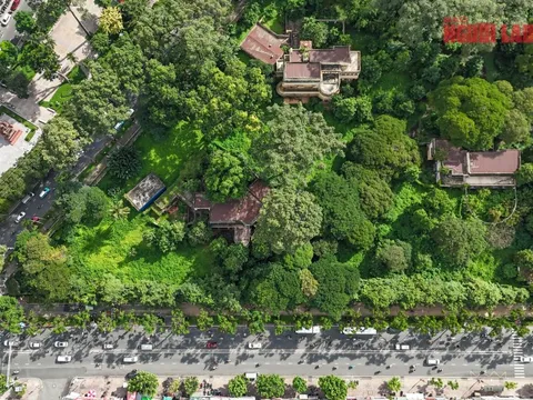 TP HCM: Công viên tại số 1 Lý Thái Tổ phục vụ Tết Nguyên đán 2026