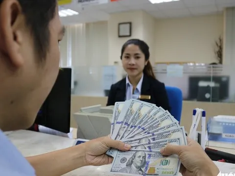 Thanh, kiểm tra hoạt động mua bán ngoại tệ của các tổ chức tín dụng