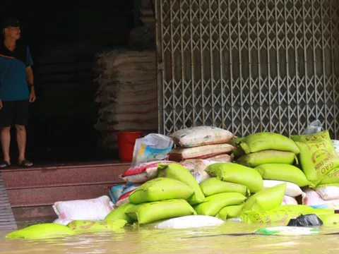 Hộ kinh doanh ở Huế thẫn thờ nhìn hàng hóa thiệt hại sau lũ