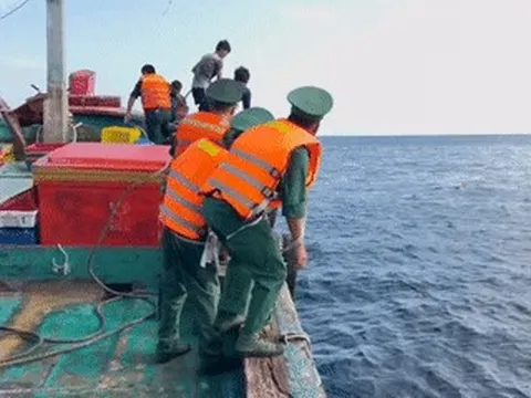 Tàu cá chở 8 ngư dân bị chìm sau va chạm với tàu hàng ngoài khơi Côn Đảo