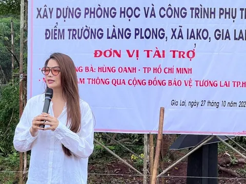Những hoạt động của diễn viên Trương Ngọc Ánh trước khi bị bắt