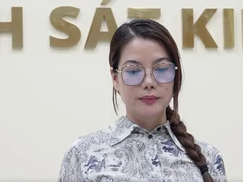 Diễn viên Trương Ngọc Ánh vừa bị bắt tạm giam có thể đối diện mức án nào?