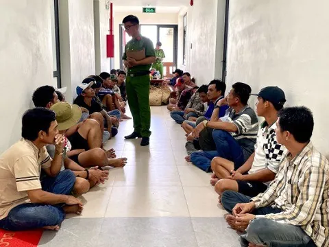 Cà Mau: 41 người cùng sát phạt bằng hình thức đá gà ăn tiền