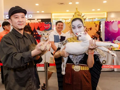 Lần đầu cặp đôi mèo "xấu nhất thế giới" có mặt tại TP HCM