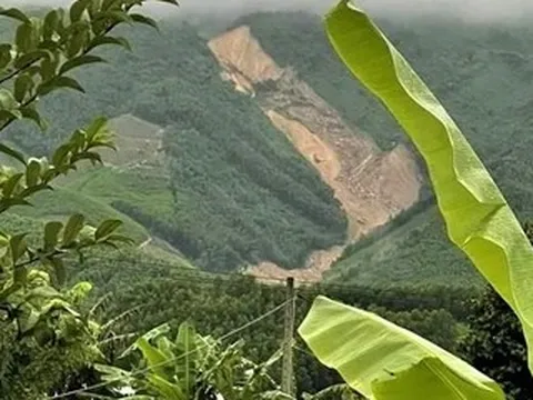 Sạt lở núi ở Đà Nẵng khiến một người chết