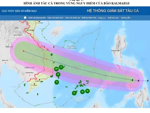 Đắk Lắk: Yêu cầu 24 tàu cá tránh khỏi vùng nguy hiểm của bão Kalmaegi
