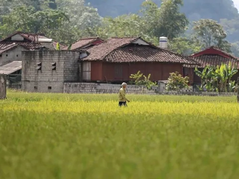 Ngôi làng người Tày ở Việt Nam là "Làng du lịch tốt nhất thế giới 2025"