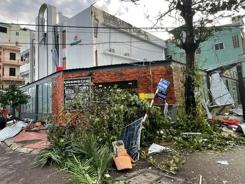 Chủ nhà hàng ở Quy Nhơn lạc giọng vì mất trắng 4 tỷ đồng sau bão Kalmaegi