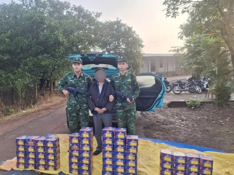 Bắt Trần Hồng Vũ