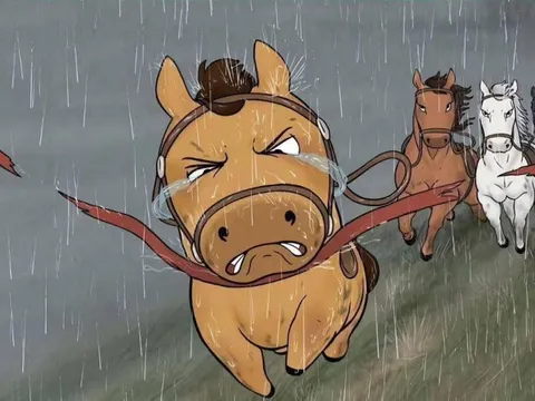 Mã Tiểu Dã, chú ngựa 'vừa chạy vừa khóc' gây bão từ Trung sang Việt