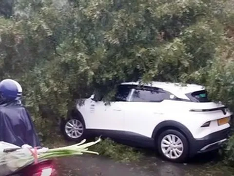 Đèo Mimosa sạt lở, cây đổ trúng ô tô 5 chỗ