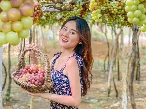 Làm giàu từ du lịch nông nghiệp tại Khánh Hoà