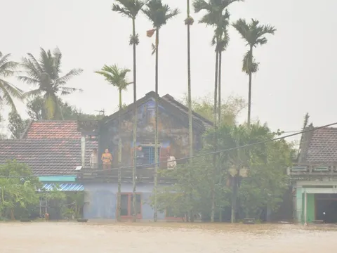 Vào tâm lũ Hòa Xuân, Phú Yên cũ: Những tiếng vọng từ khe cửa sổ, nóc nhà xin tiếp tế đồ ăn