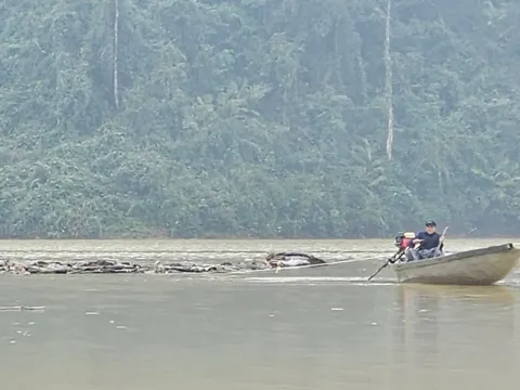 Sau lũ, hồ thủy điện nhận "món hàng" không mong muốn từ rừng sâu