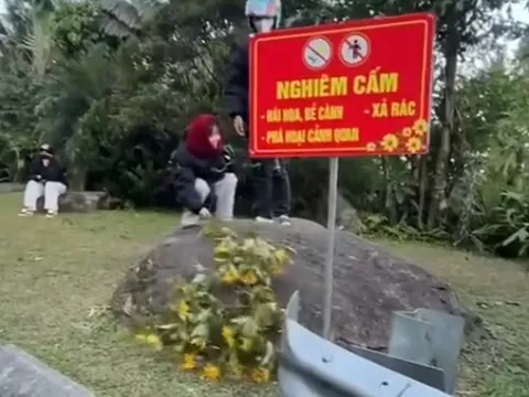 Đôi nam nữ vô tư bẻ hoa dã quỳ ở Ba Vì dù đứng cạnh biển cấm