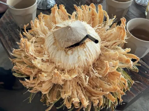 Thực hư 'dừa bất tử' 100.000 đồng ở TP.HCM