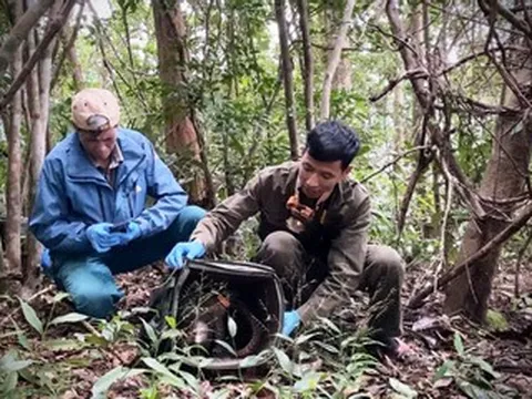 Hành trình về rừng của loài thú duy nhất trên thế giới có vảy cứng phủ cơ thể