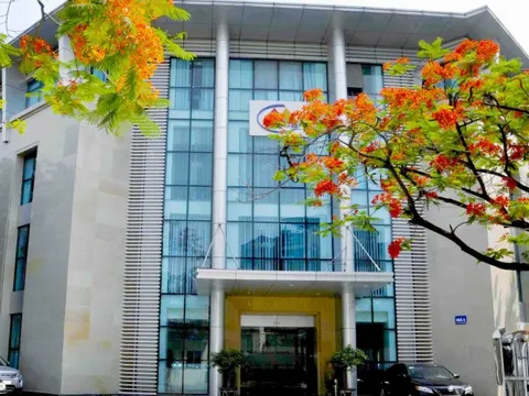 Doanh nghiệp khai thác vàng lớn nhất Việt Nam đối diện nguy cơ rời sàn chứng khoán