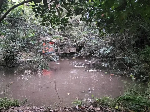 Thương tâm bé trai 5 tuổi ở TPHCM tử vong vì ao nước phía sau nhà trọ