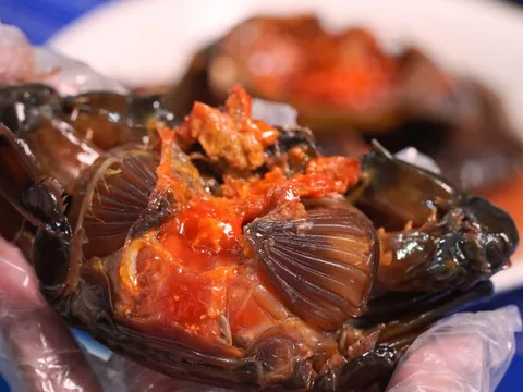 Hàn Quốc có cua ngâm tương, Cà Mau có cua gạch ngâm mắm nhĩ