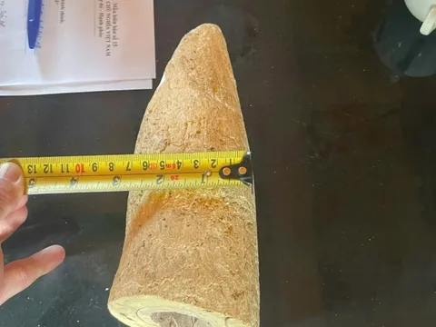 Nhặt được vật màu trắng dưới sông nghi là ngà voi